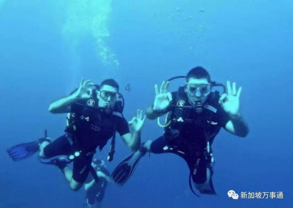 精灵的冒险之旅