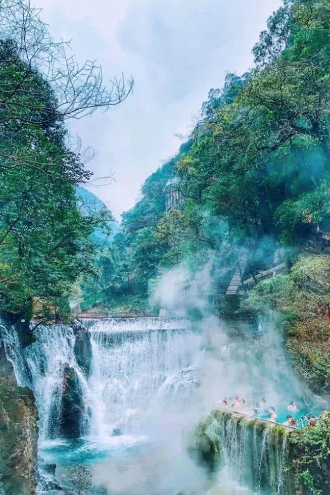 章鱼喷墨汁